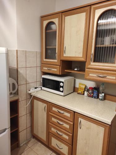 Apartament/mieszkanie-Wałbrzych Piaskowa Góra