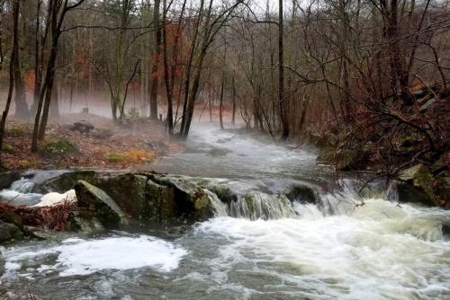 Zen River Retreat in Stanardsville, USA