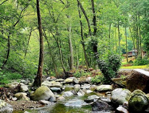 Zen River Retreat in Stanardsville, USA