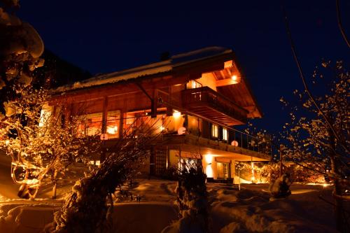 Ferienwohnungen Kohler komplett neu renoviert E-Ladestaion kostenlos, Unterkunft in Mittelberg