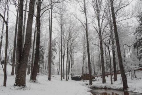 Glade Cottage at White Lotus Eco Spa Retreat in Stanardsville, USA