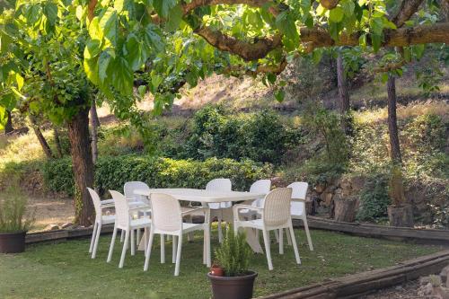 Hotel Rural y Apartamentos Villa Engracia - image 3