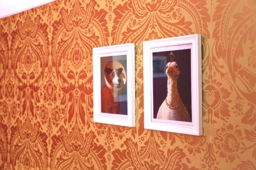 Rivoli Cinema Hostel, Porto (foto 6)