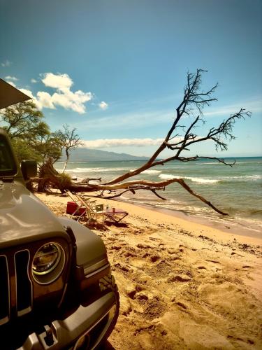 Embark on a journey through Maui with Aloha Glamp's jeep and rooftop tent allows you to discover diverse campgrounds, unveiling the island's beauty from unique perspectives each day