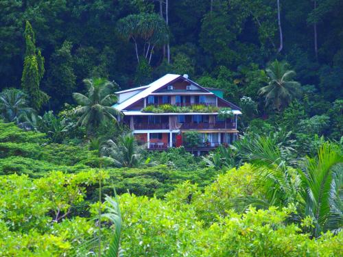 My Paradise