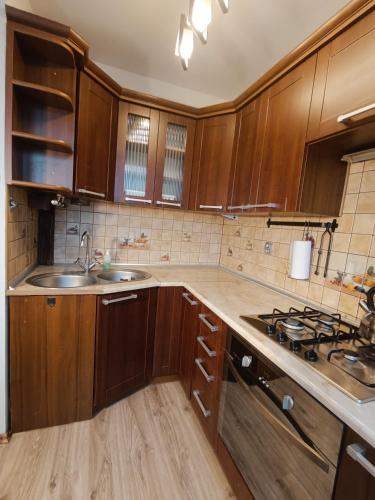 Kukuryku Apartament Centrum in Bogucice