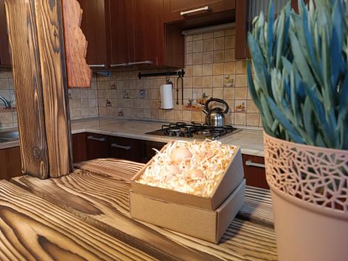 Kukuryku Apartament Centrum in Bogucice