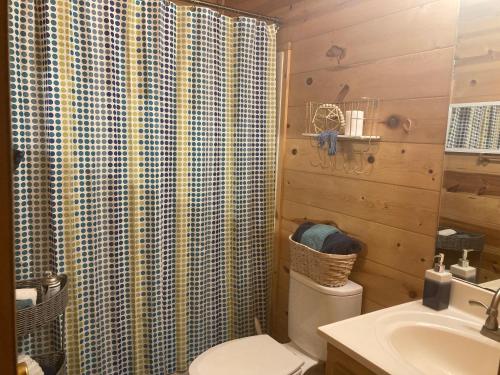 Spotted Fox Spotted Fox