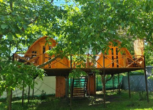 Cabañas Peñaflor Glamping - Accommodation - Talagante