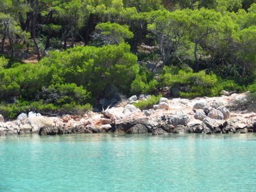 The Delfini Hotel - image 12