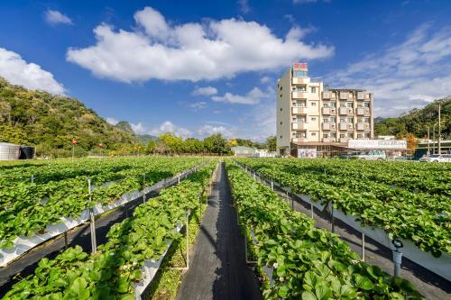 Bližnja okolica, Quan Ming in Okrožje Dahu