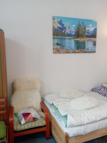 A3Apartament 2 pokojowy aneks kuchenny 2 łazienki, Zakopane (photo 8)