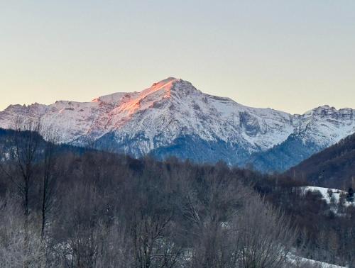 Cabana Ursu’ Zburator