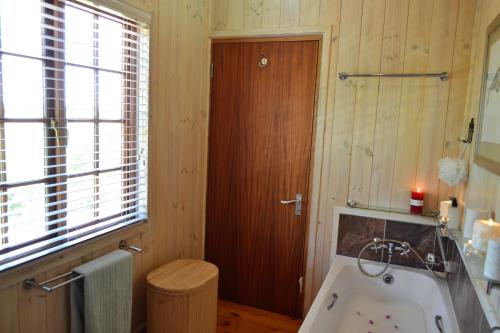 Forest Edge Forest Edge