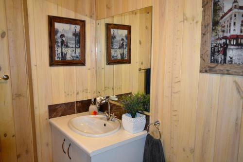 Forest Edge Forest Edge