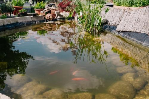 Country apartment, near Bardolino and Lazise