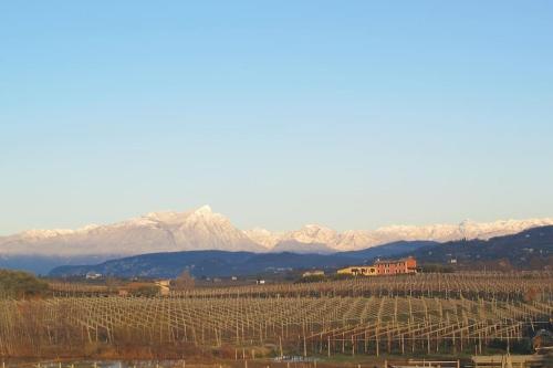 Country apartment, near Bardolino and Lazise