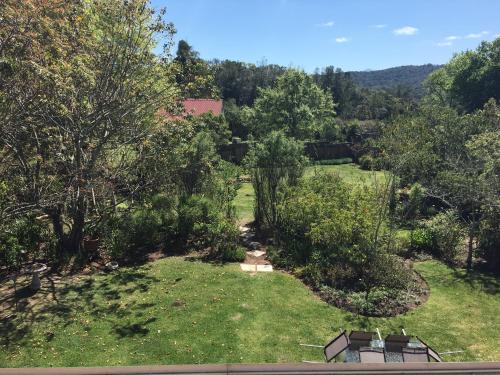 Forest Edge Forest Edge