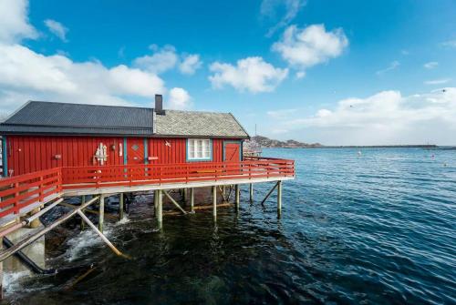 Explorers Cabin Lofoten Edge in Tind