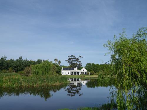 Suite image 9
