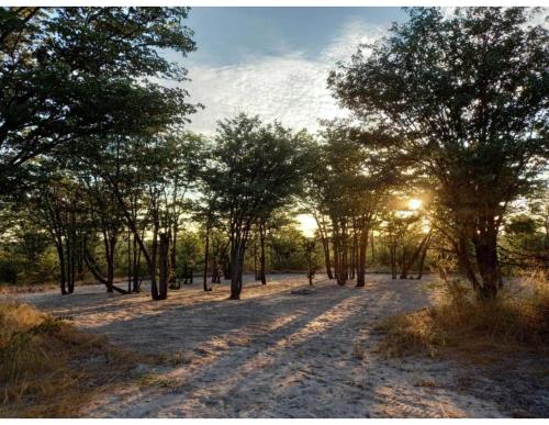 Apkārtne, Acacia Camping in Chiro Pan