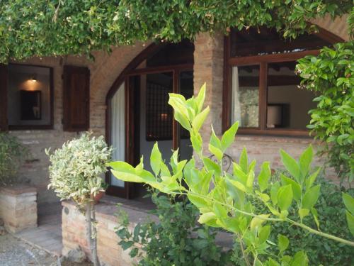 L'Aia Country Holidays Room Type - Studio with Terrace