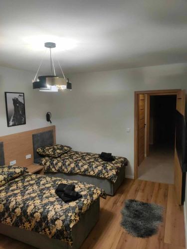 Apartamenty Zorza