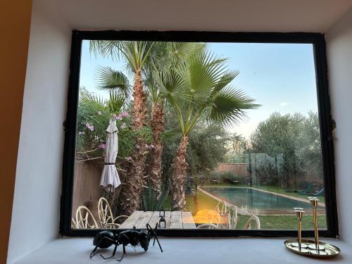 Dārzs, La Villa douce in Oulad Snaguia