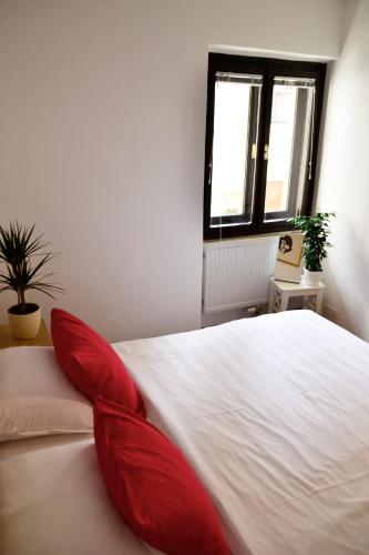 Apartment image 1