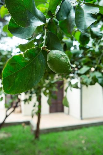 Villino Elda - image 12