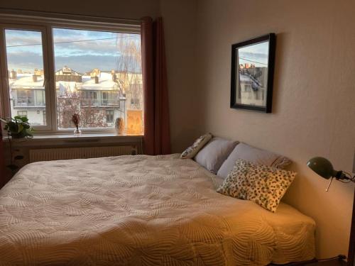 Spacious & cosy apartment - ideal location Majorstuen, Oslo (fotografie 5)