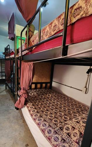 เตียงสองชั้นในห้องพักรวมหญิงชาย (Bunk Bed in Mixed Dormitory Room)