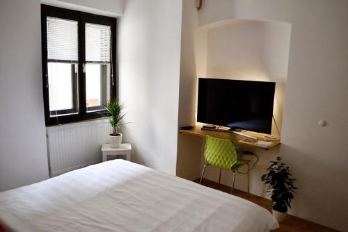 Apartment room in Studio in Ljubljana Center