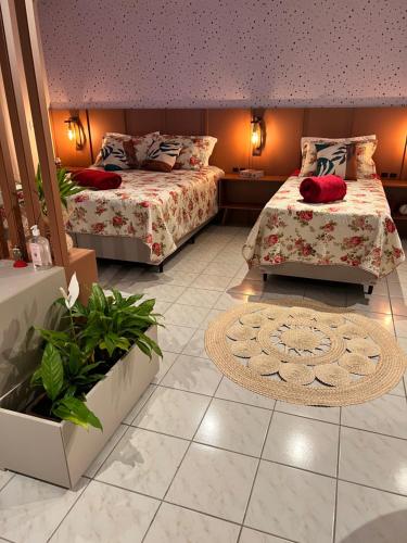 La Vita hospedaria studio verde in Nova Veneza (Santa Catarina)