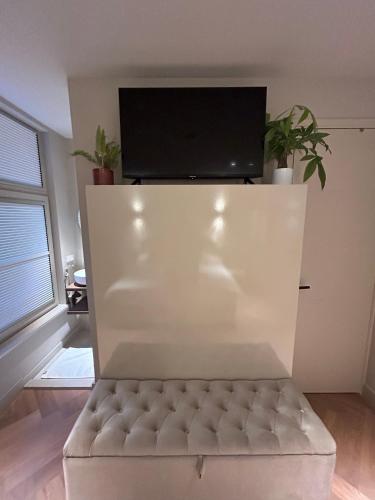 Renovated Parkside Gem - 2 person studio in the Pijp, Amsterdam (photo 8)