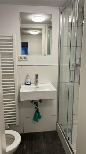 Bathroom, Sahra 1Zi. Wohnung Arheiligen in Arheilgen