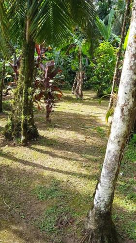 Casa Aconchegante em Morretes no meio da Natureza!