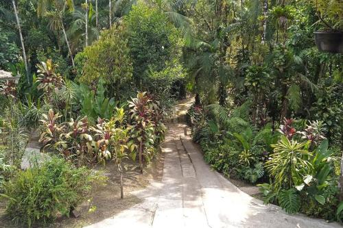 Casa Aconchegante em Morretes no meio da Natureza!