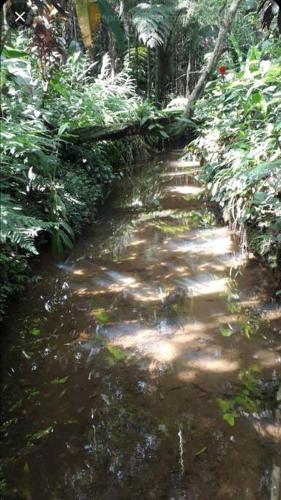 Casa Aconchegante em Morretes no meio da Natureza!