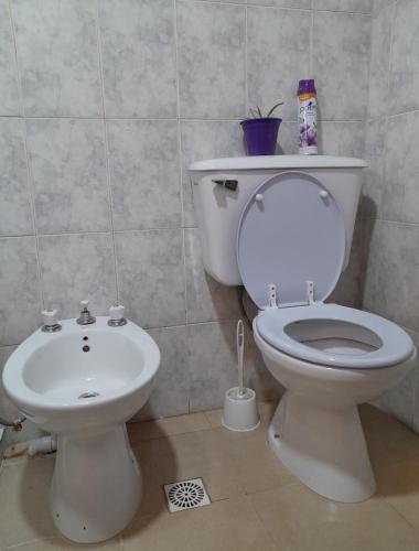 Cabaña Río Pulmarí