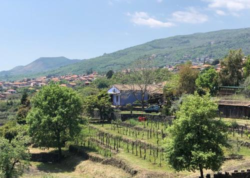 Alberto's Mt.Etna B&B - image 11