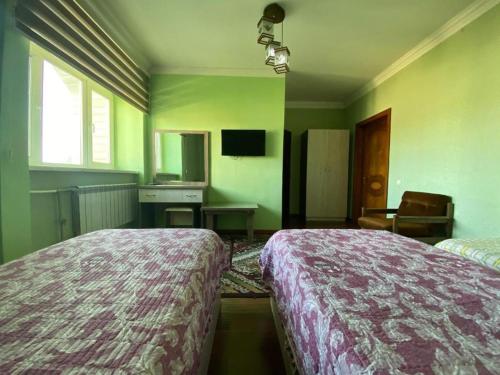 Pamir Hotel-Hostel