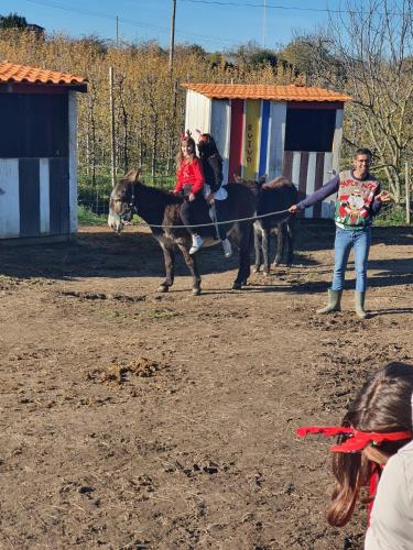 Gojim Casa Rural