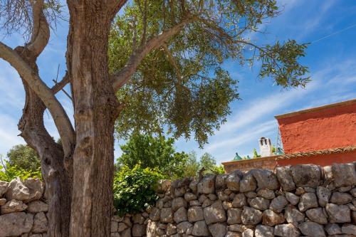 La Corte Della Masseria - image 2