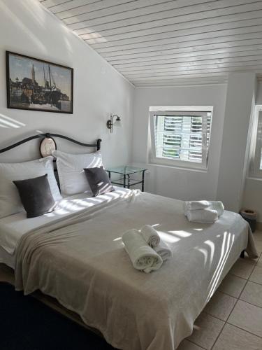 B&B Baron Gautsch – Rovinj, IA