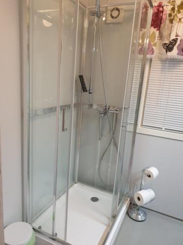 Knut Ellingsen Knut Ellingsen