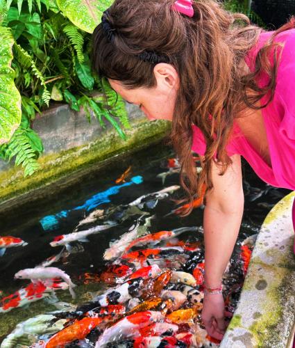 Boli Villa Thoddoo Boli Villa Thoddoo