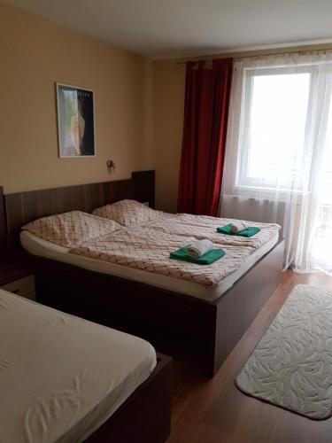 Fridrich apartman - main image