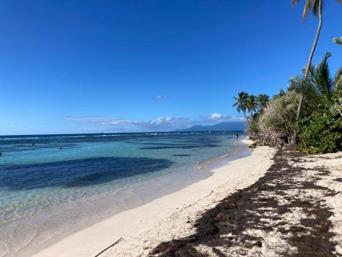 ชายหาด, L’Amandine in เบราร์ด