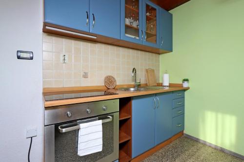 One-Bedroom Apartment image 4